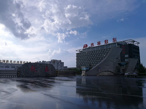 1吉林敖東.jpg